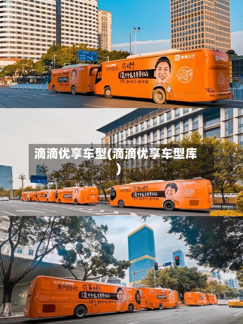 滴滴优享车型(滴滴优享车型库)-第3张图片