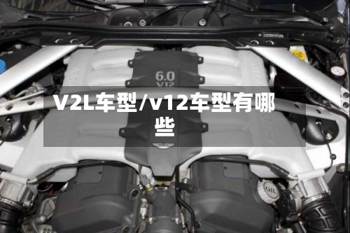 V2L车型/v12车型有哪些-第2张图片
