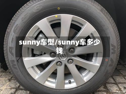 sunny车型/sunny车多少钱