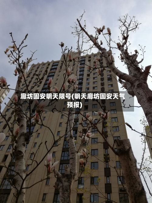 廊坊固安明天限号(明天廊坊固安天气预报)