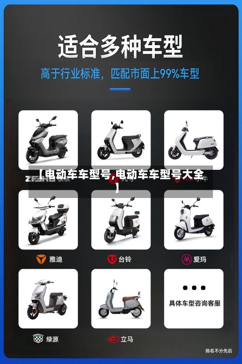 【电动车车型号,电动车车型号大全】-第2张图片