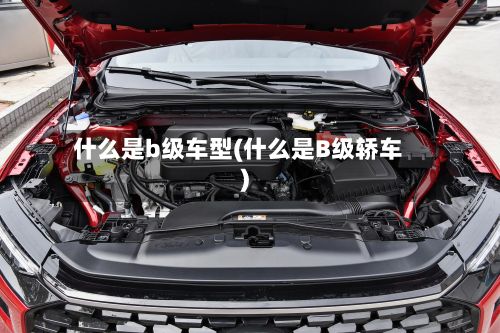 什么是b级车型(什么是B级轿车)