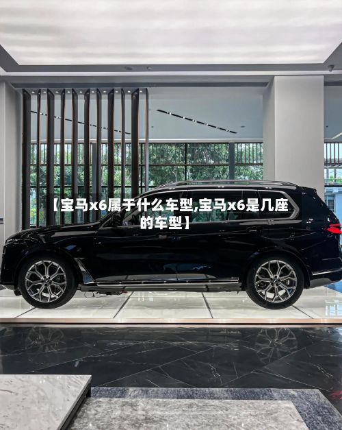 【宝马x6属于什么车型,宝马x6是几座的车型】-第3张图片