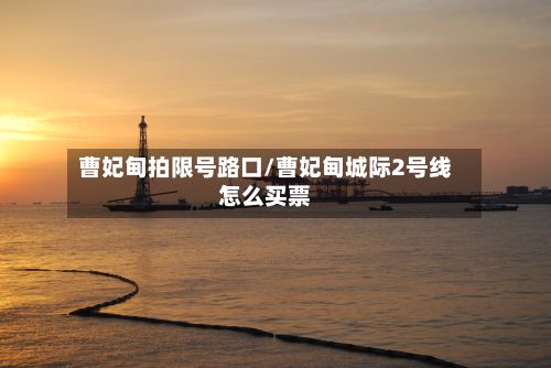 曹妃甸拍限号路口/曹妃甸城际2号线怎么买票