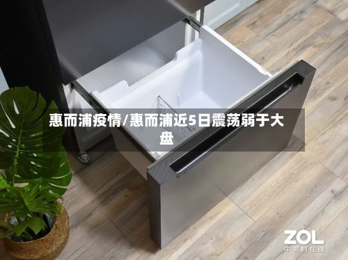 惠而浦疫情/惠而浦近5日震荡弱于大盘-第2张图片