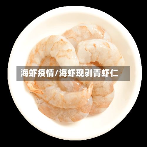 海虾疫情/海虾现剥青虾仁
