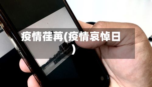 疫情荏苒(疫情哀悼日)-第2张图片