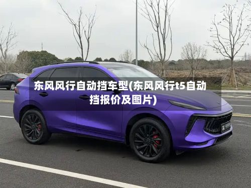东风风行自动挡车型(东风风行t5自动挡报价及图片)-第2张图片