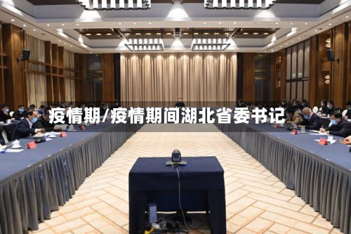 疫情期/疫情期间湖北省委书记-第2张图片