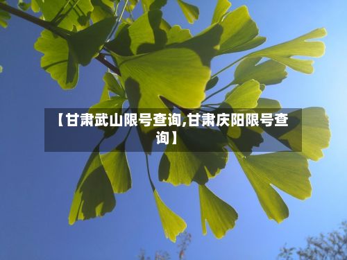 【甘肃武山限号查询,甘肃庆阳限号查询】