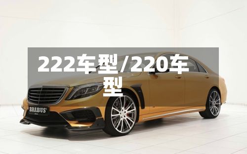 222车型/220车型-第2张图片