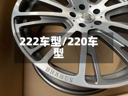 222车型/220车型-第3张图片