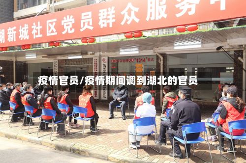 疫情官员/疫情期间调到湖北的官员-第2张图片