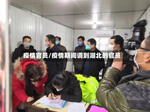 疫情官员/疫情期间调到湖北的官员