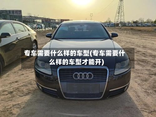 专车需要什么样的车型(专车需要什么样的车型才能开)-第2张图片