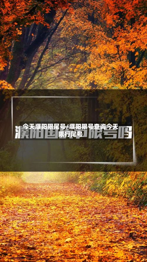 今天濮阳限尾号/濮阳限号查询今天限行尾号