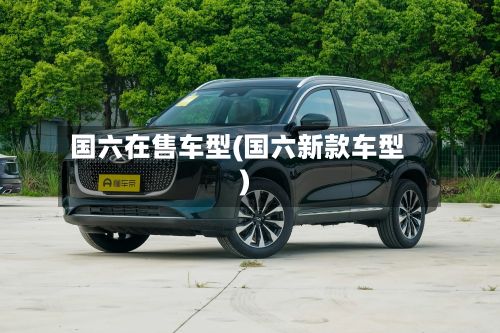 国六在售车型(国六新款车型)