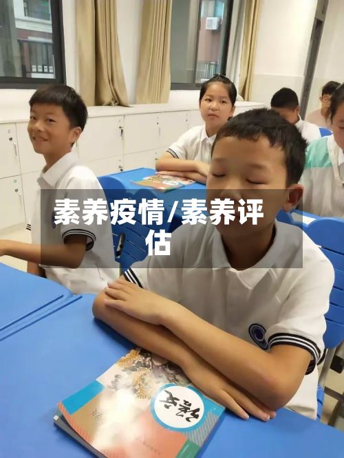 素养疫情/素养评估-第2张图片