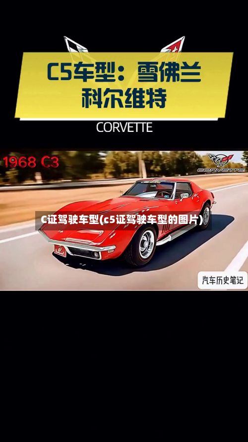 C证驾驶车型(c5证驾驶车型的图片)-第3张图片
