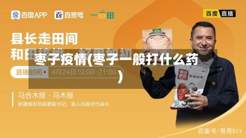 枣子疫情(枣子一般打什么药)-第3张图片