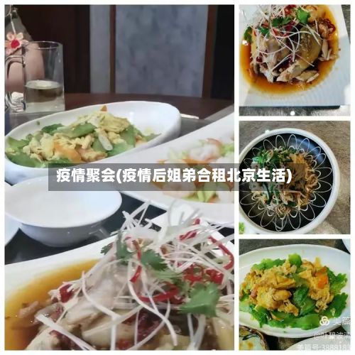 疫情聚会(疫情后姐弟合租北京生活)