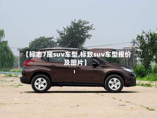 【标志7座suv车型,标致suv车型报价及图片】-第3张图片