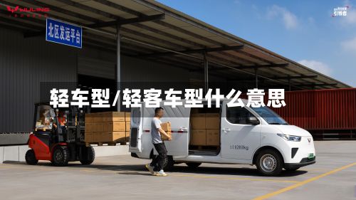 轻车型/轻客车型什么意思