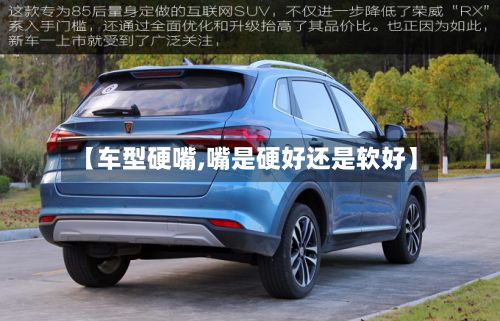 【车型硬嘴,嘴是硬好还是软好】-第3张图片