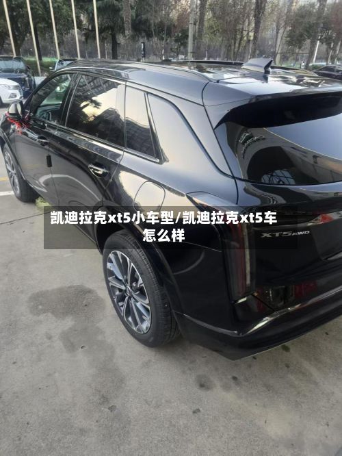 凯迪拉克xt5小车型/凯迪拉克xt5车怎么样-第3张图片