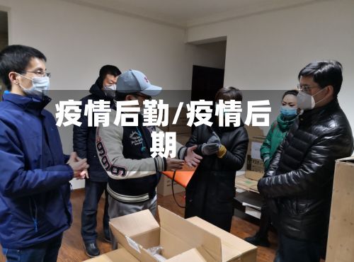 疫情后勤/疫情后期-第3张图片
