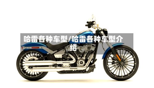 哈雷各种车型/哈雷各种车型介绍-第2张图片