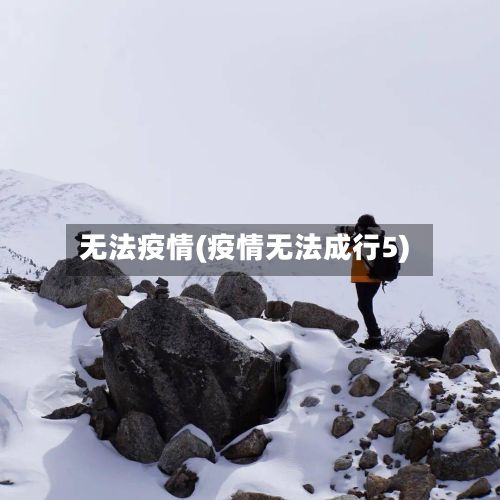 无法疫情(疫情无法成行5)-第2张图片