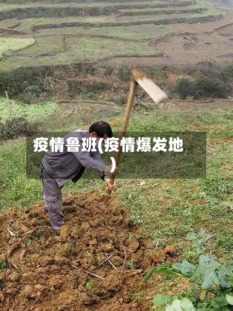 疫情鲁班(疫情爆发地)-第2张图片