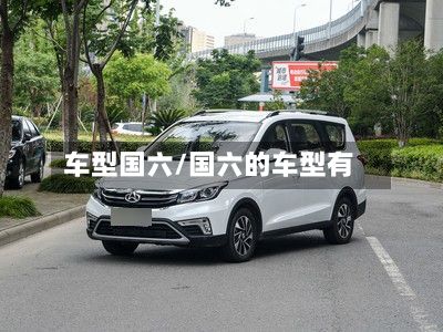 车型国六/国六的车型有