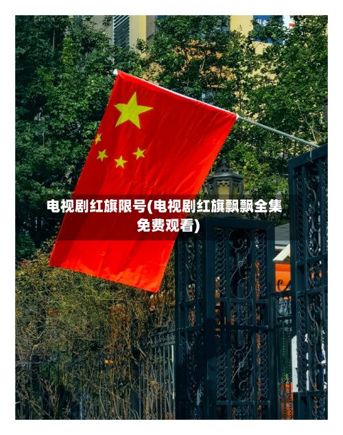 电视剧红旗限号(电视剧红旗飘飘全集免费观看)-第2张图片