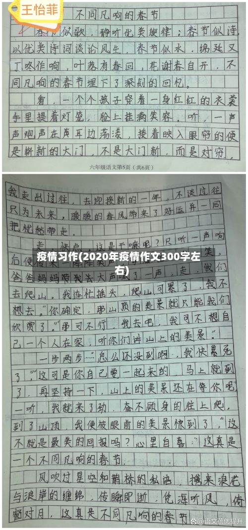 疫情习作(2020年疫情作文300字左右)