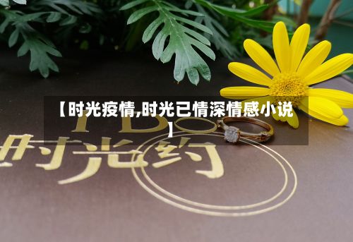 【时光疫情,时光已情深情感小说】