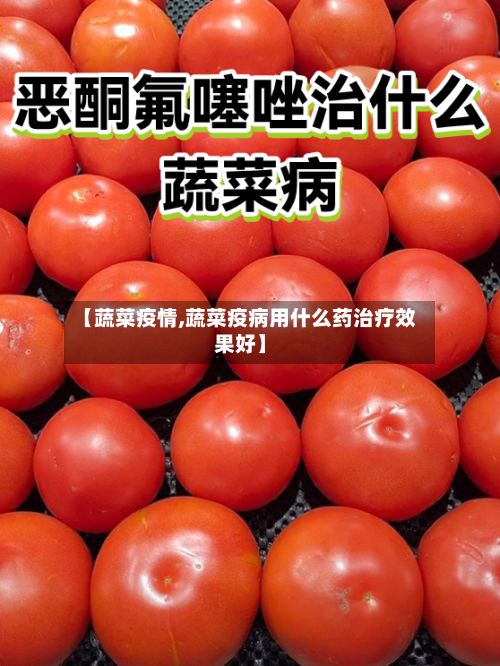 【蔬菜疫情,蔬菜疫病用什么药治疗效果好】