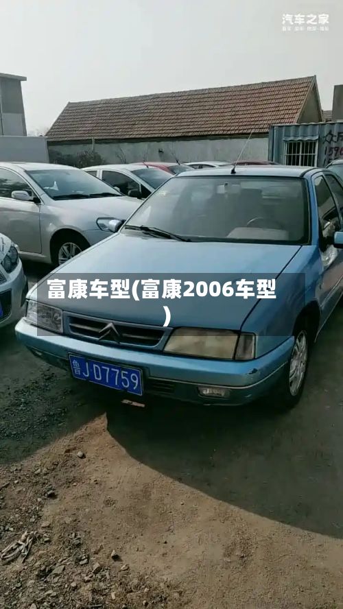 富康车型(富康2006车型)-第2张图片