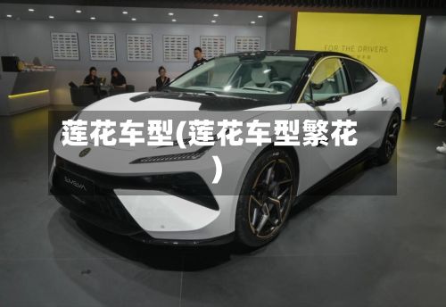 莲花车型(莲花车型繁花)-第3张图片