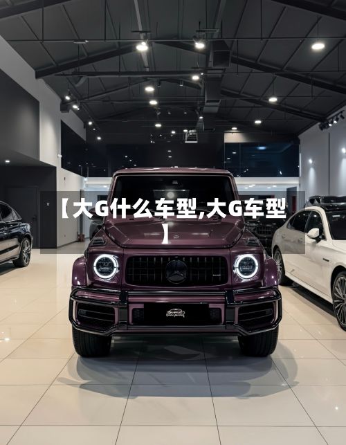 【大G什么车型,大G车型】