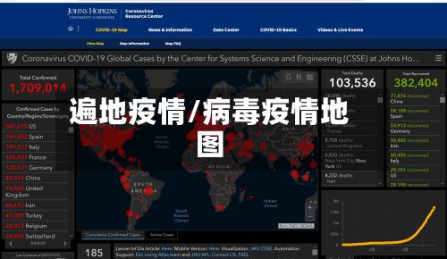 遍地疫情/病毒疫情地图-第2张图片