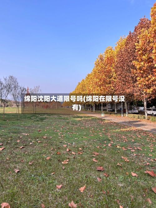 绵阳沈阳大道限号吗(绵阳在限号没有)-第3张图片