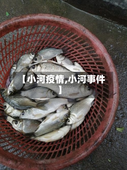 【小河疫情,小河事件】