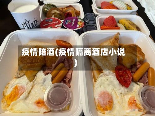 疫情陪酒(疫情隔离酒店小说)-第2张图片