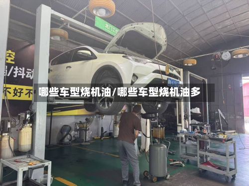 哪些车型烧机油/哪些车型烧机油多