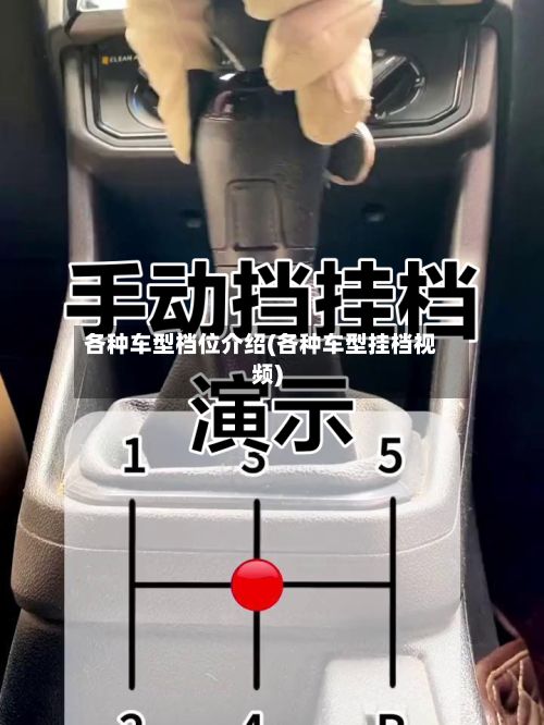各种车型档位介绍(各种车型挂档视频)