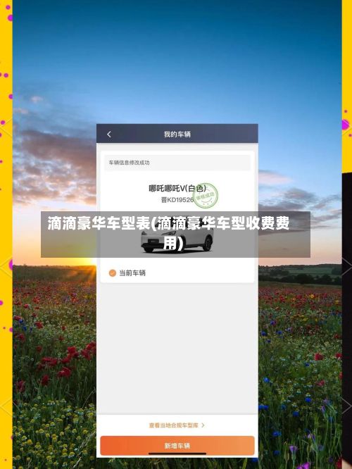 滴滴豪华车型表(滴滴豪华车型收费费用)-第2张图片