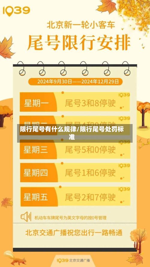 限行尾号有什么规律/限行尾号处罚标准