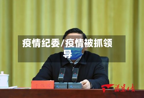 疫情纪委/疫情被抓领导